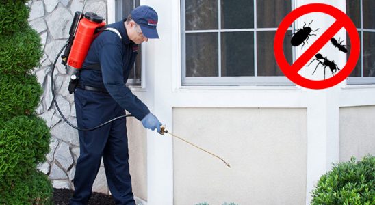 Üçyol Böcek İlaçlama böcek ilaçlama ve haşere kontrolü — ilaclama-tr.com